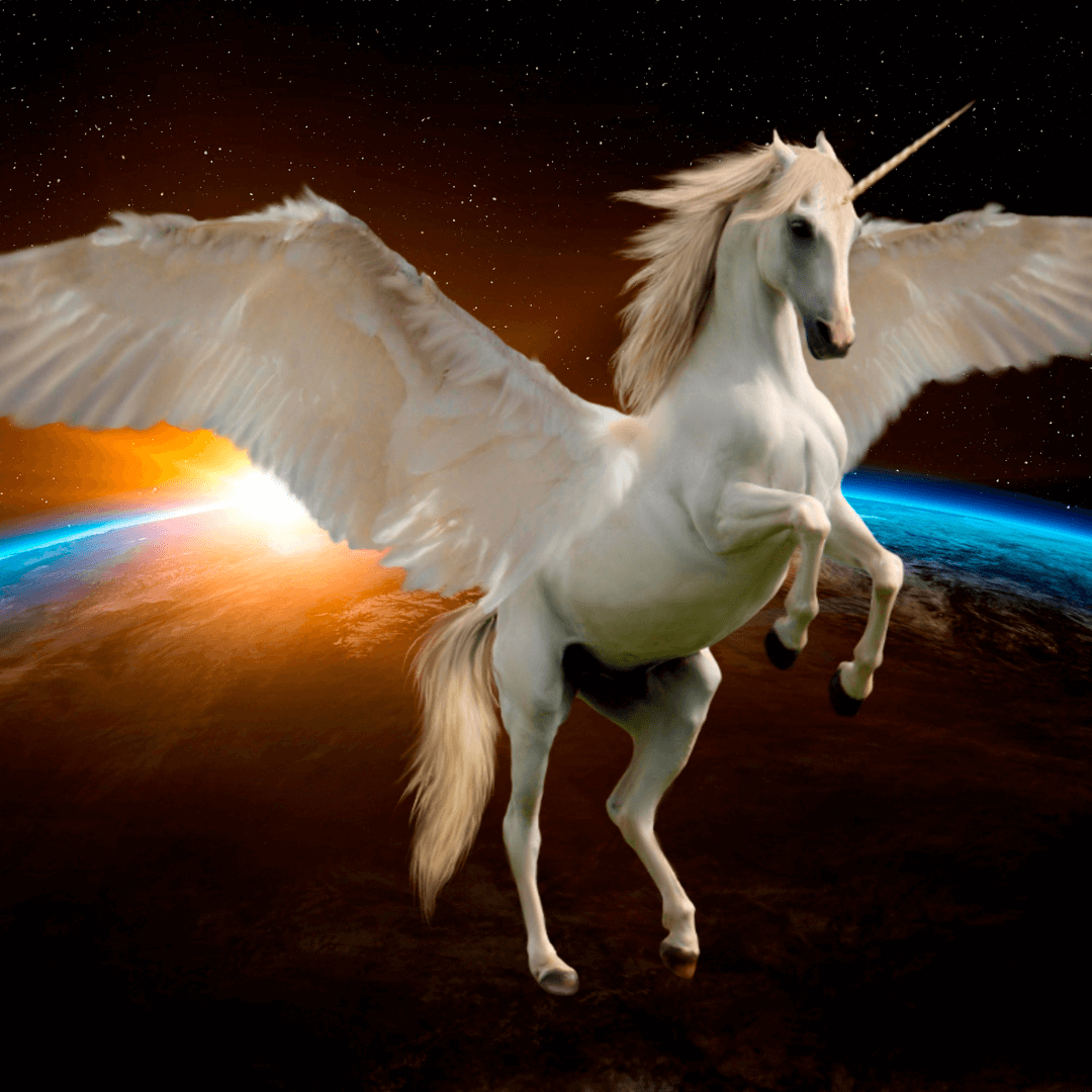 Dream Interpretation Unicorn Secrets Revealing Spiritual Messages