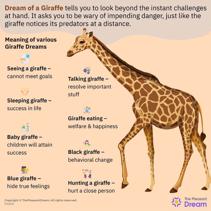 Dream interpretation giraffe symbols decoded find hidden insights