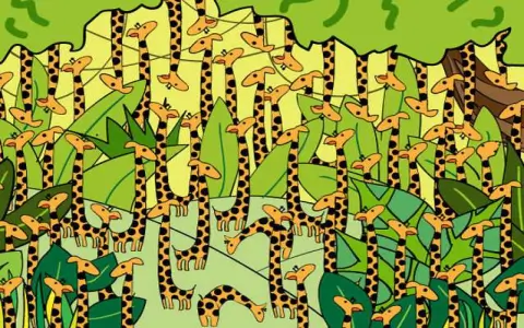 Dream interpretation giraffe symbols decoded find hidden insights