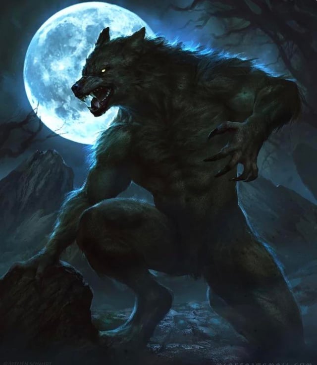 What does dreaming about werewolves mean? Don't panic—let's figure this out together!