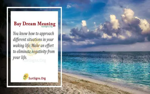 What does dreaming about a beach mean? Discover 5 common dream meanings easily