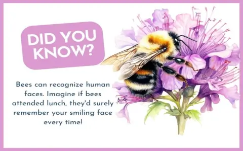 Is Honey in Dreams Good Luck Learn What Your Mind Suggests
