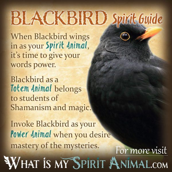 Spiritual meaning of birds in dreams： How to interpret them easily？