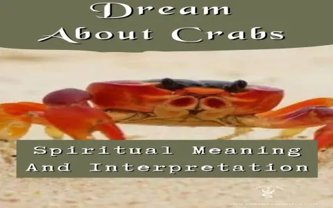 What is the Spiritual Meaning of Crab for Protection and Emotional Healing Today？