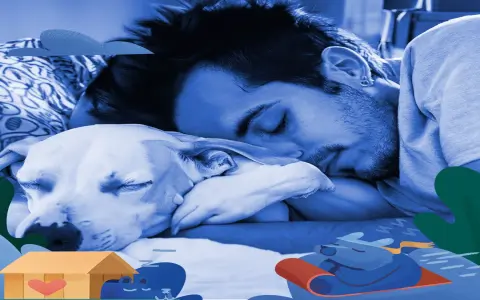 Dream about german shepherd meaning？ Find out what loyalty means!