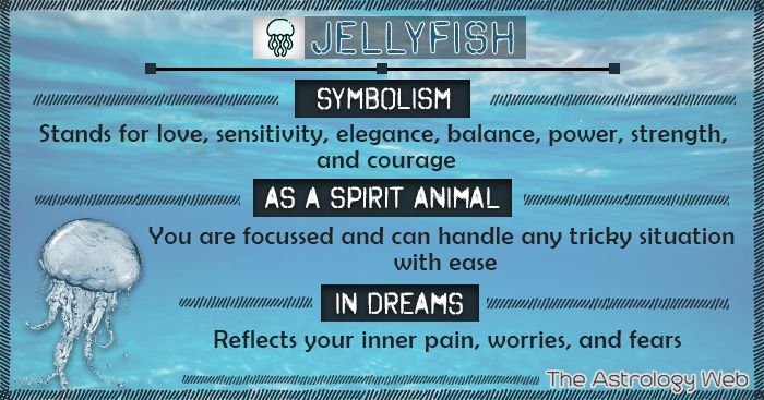 The spiritual meaning of jellyfish： What does it symbolize in cultures？