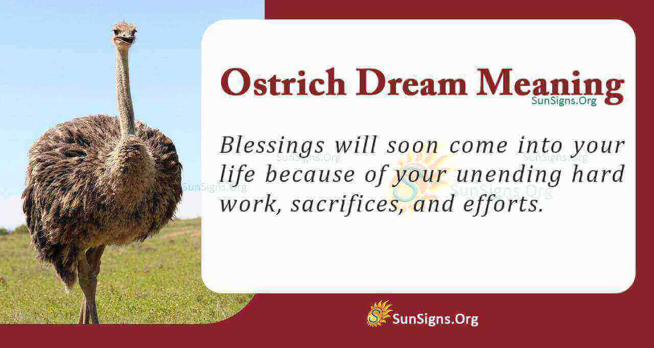 Dream interpretation ostrich： Is it a good or bad omen？