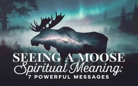 How accurate is dream interpretation of moose? Real cases to tell you
