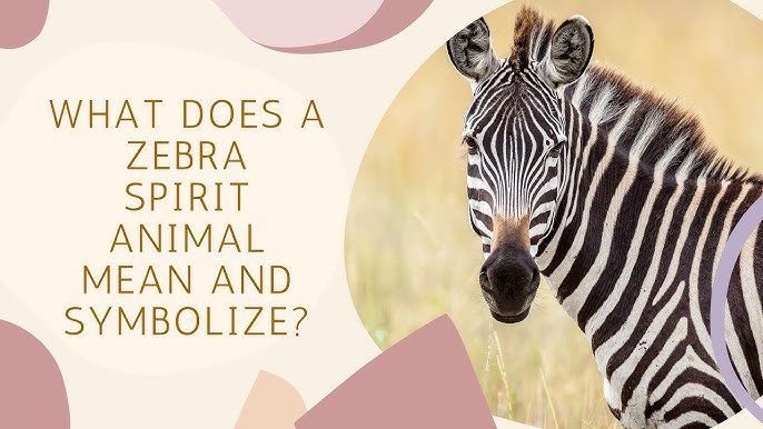 What is the meaning of zebra spiritual? Uncover the secrets here