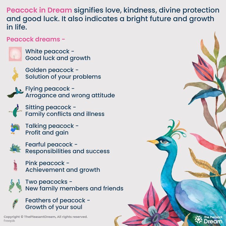 dream interpretation peacock