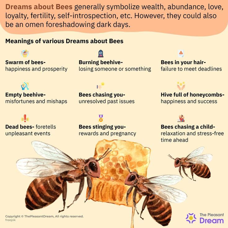 Dream interpretation bee： Are these common symbols in your dreams？