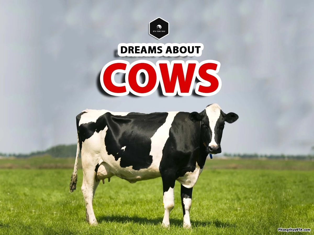 Dream interpretation cow: Tips to analyze the cow dreams accurately