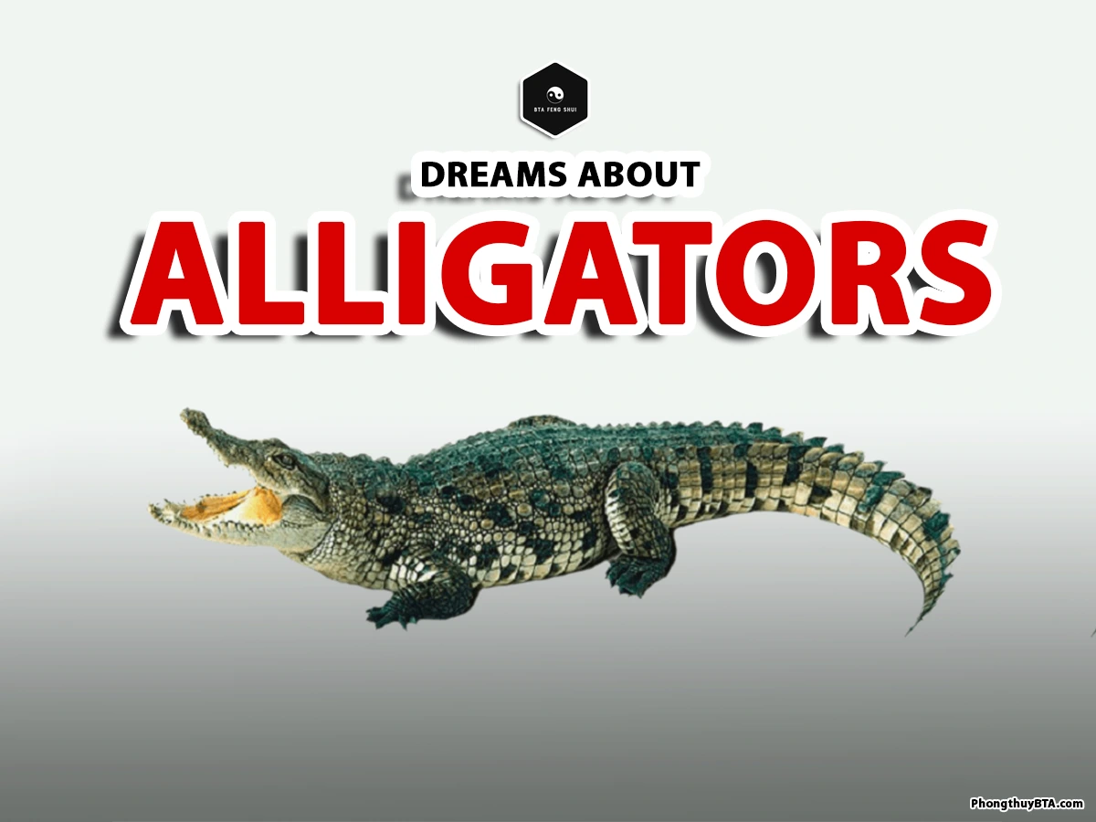 Dream interpretation alligator： Are there any hidden messages in your dream？