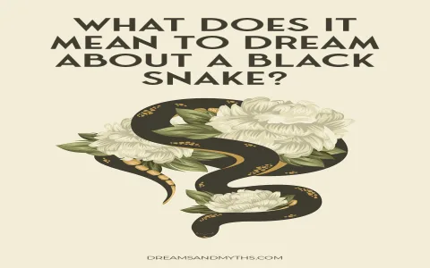 Dream interpretation of black snakes： Common symbols and meanings!