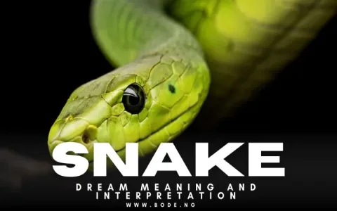 dream interpretation snake