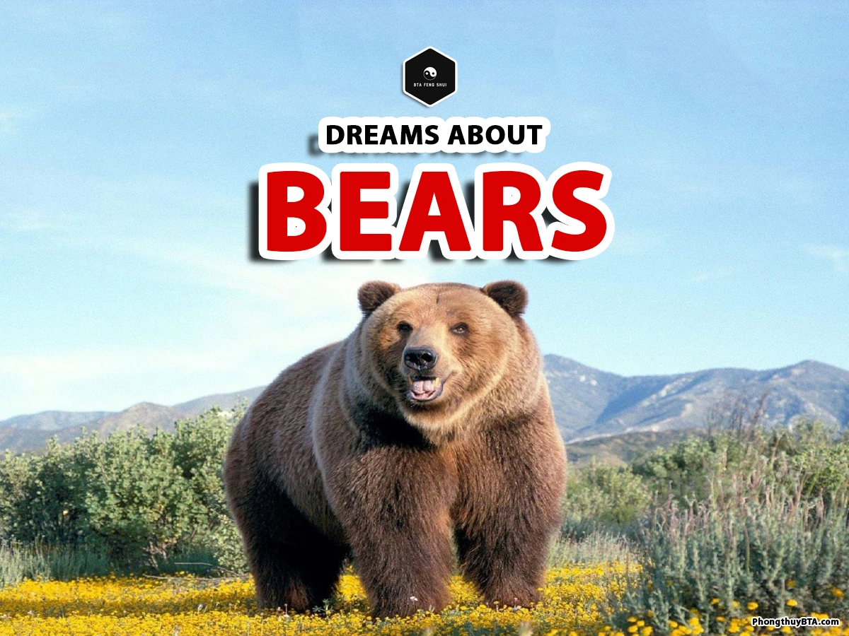 Is dream interpretation of grizzly bear accurate? Experts share insights!
