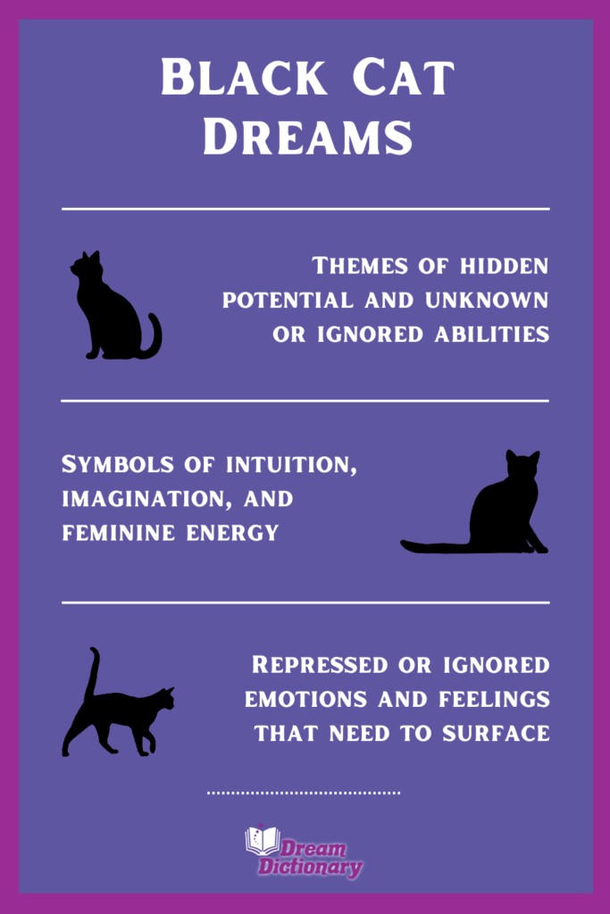 Whats the spiritual meaning of seeing black cat in dream？ Find out now!