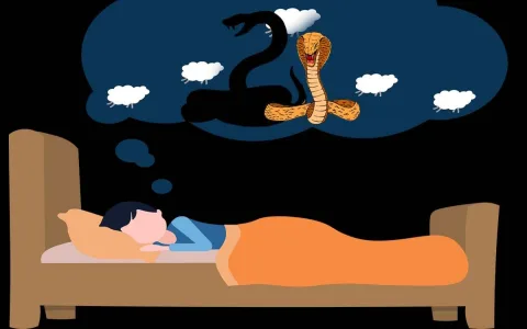 Dream interpretation snake： How to analyze your snake - related dreams？