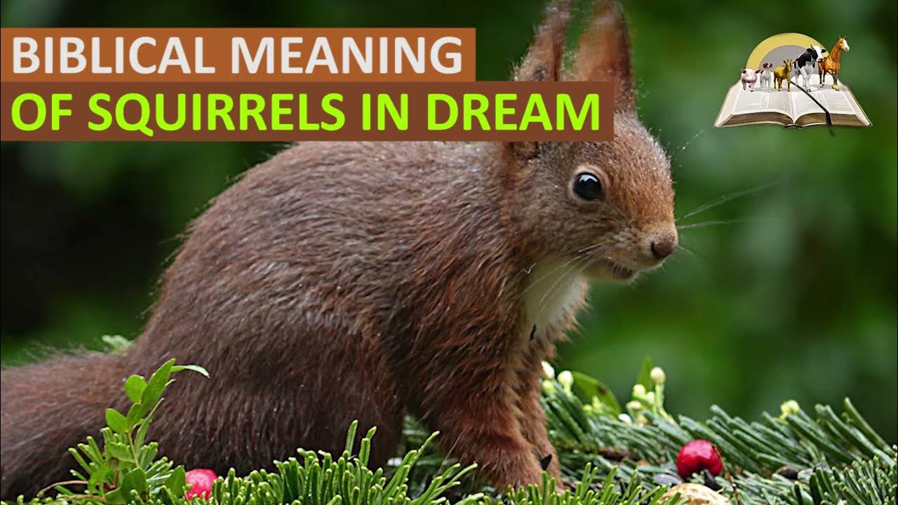 The biblical meaning of a squirrel in a dream revealed: Is it good luck or bad luck?