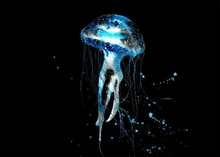Jellyfish meaning spiritual： How does it impact our lives？