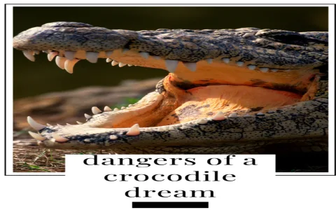 What does dream interpretation alligator mean？ Experts reveal the truth!