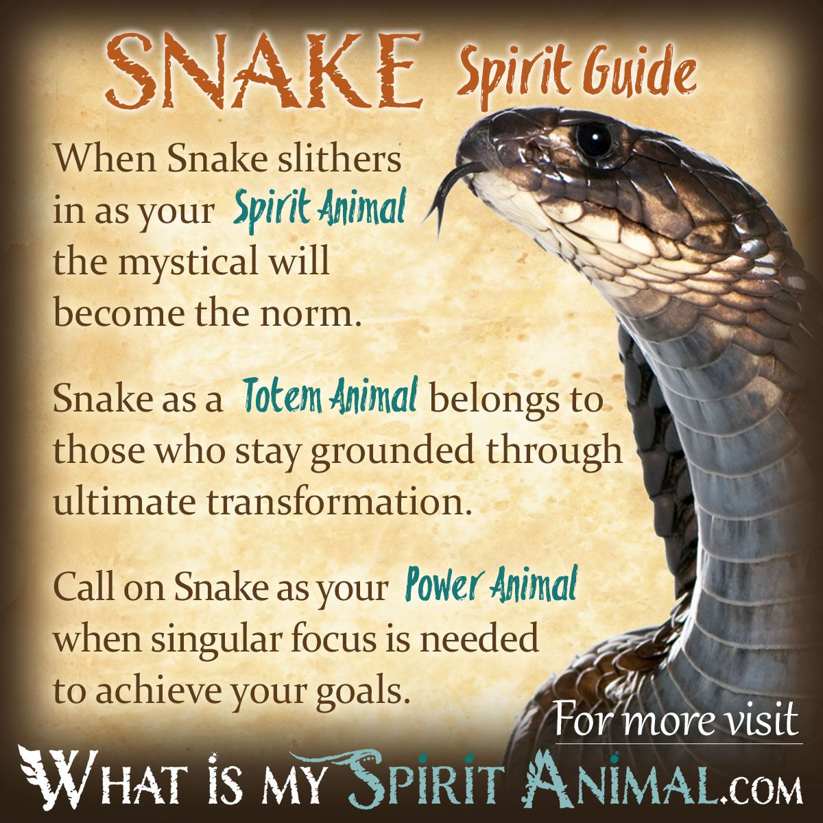 Cobra spiritual meaning： What does it symbolize in different cultures？