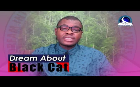 dream interpretation black cat