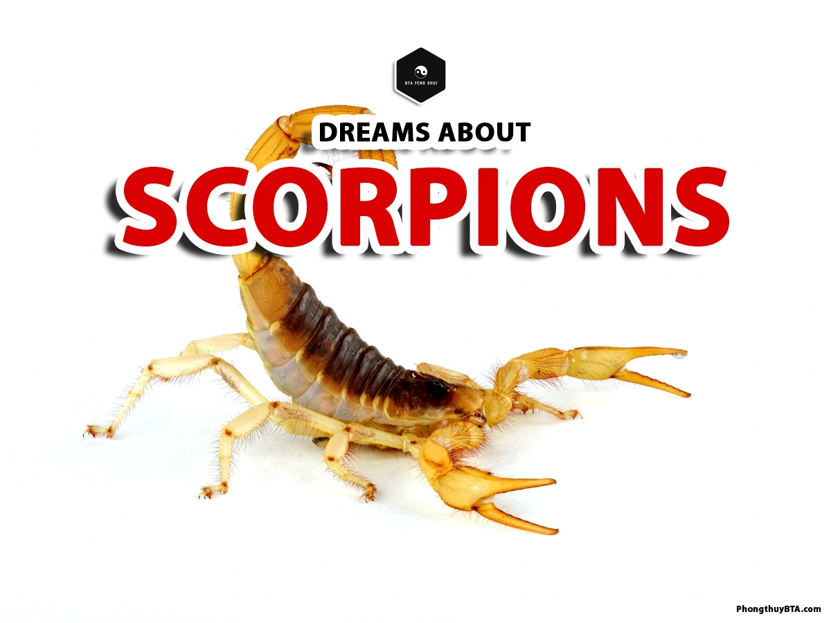 Dream interpretation scorpion: How to understand your subconscious message?