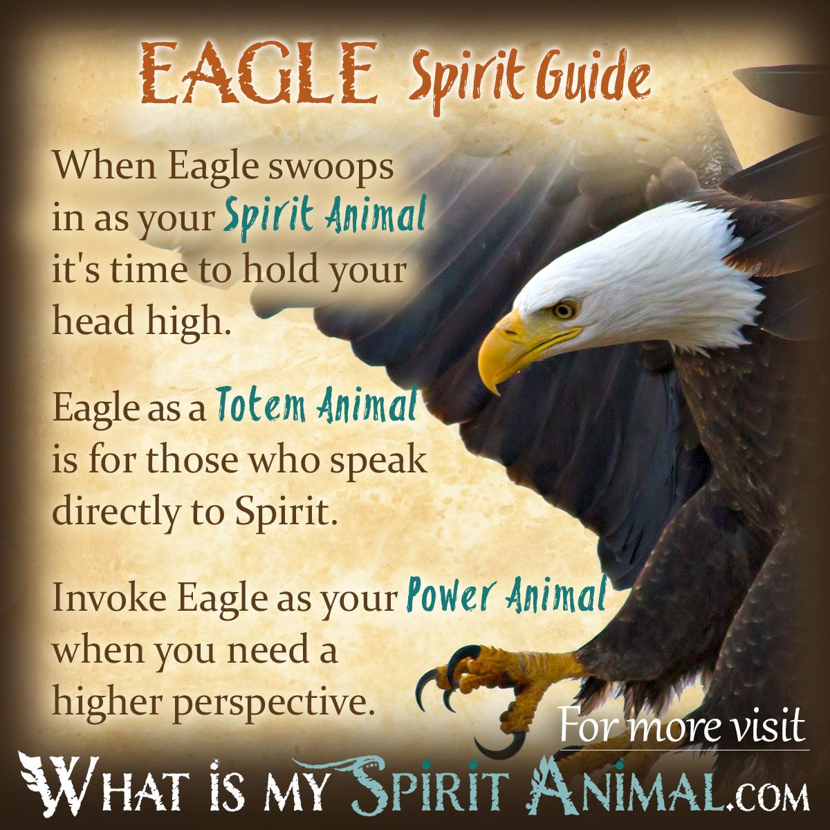 What is the spiritual meaning of seeing an eagle？ Find out if it is a positive or negative omen for your future path!