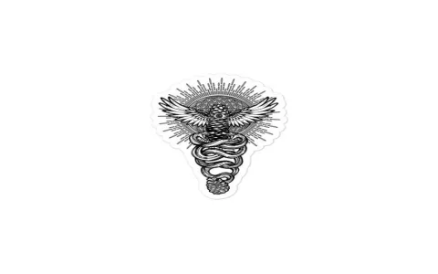 What does the spiritual meaning of pine cone symbolize？ Lets explore!