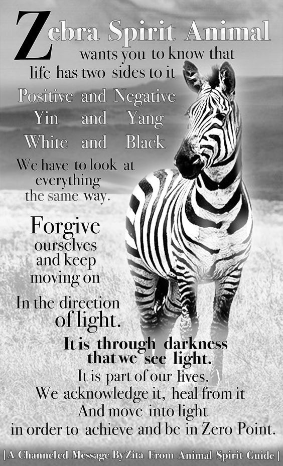 Spiritual meaning of zebra explained: How it impacts your life!