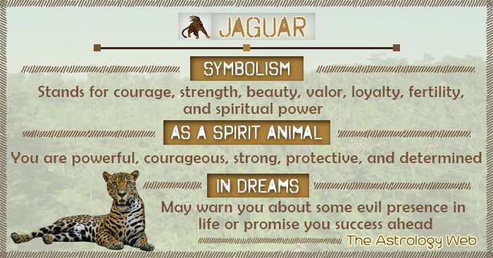 Jaguar spiritual meaning explained： What does it symbolize in cultures？