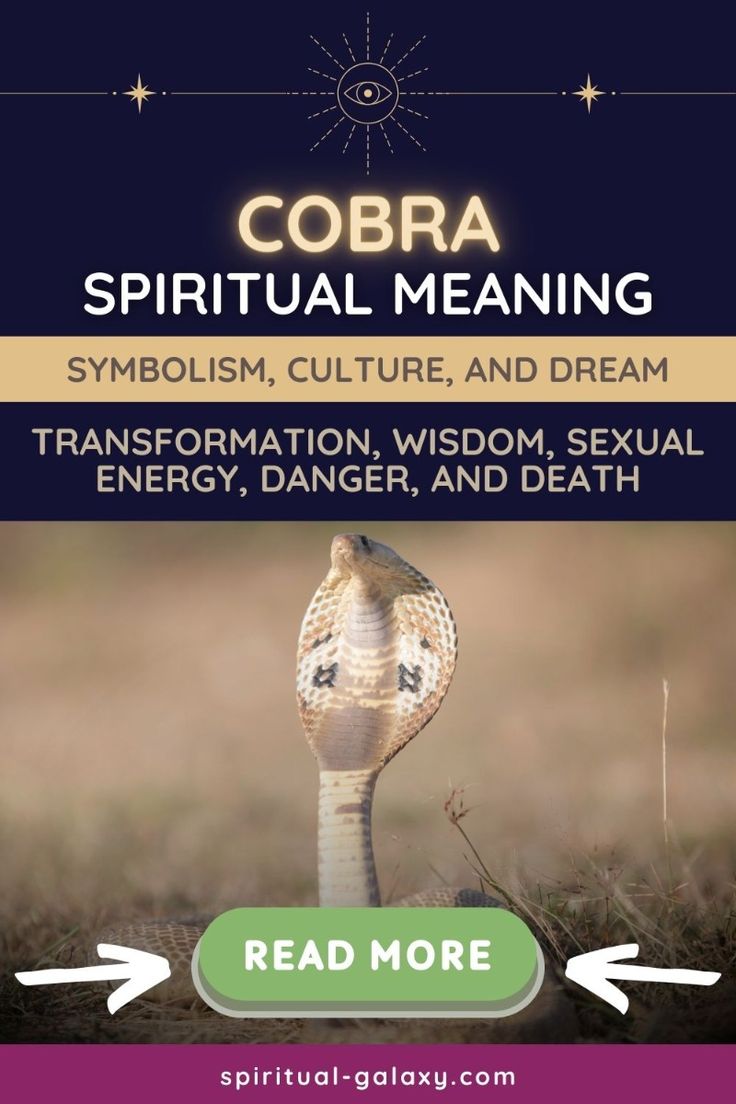 Cobra spiritual meaning： What does it symbolize in different cultures？