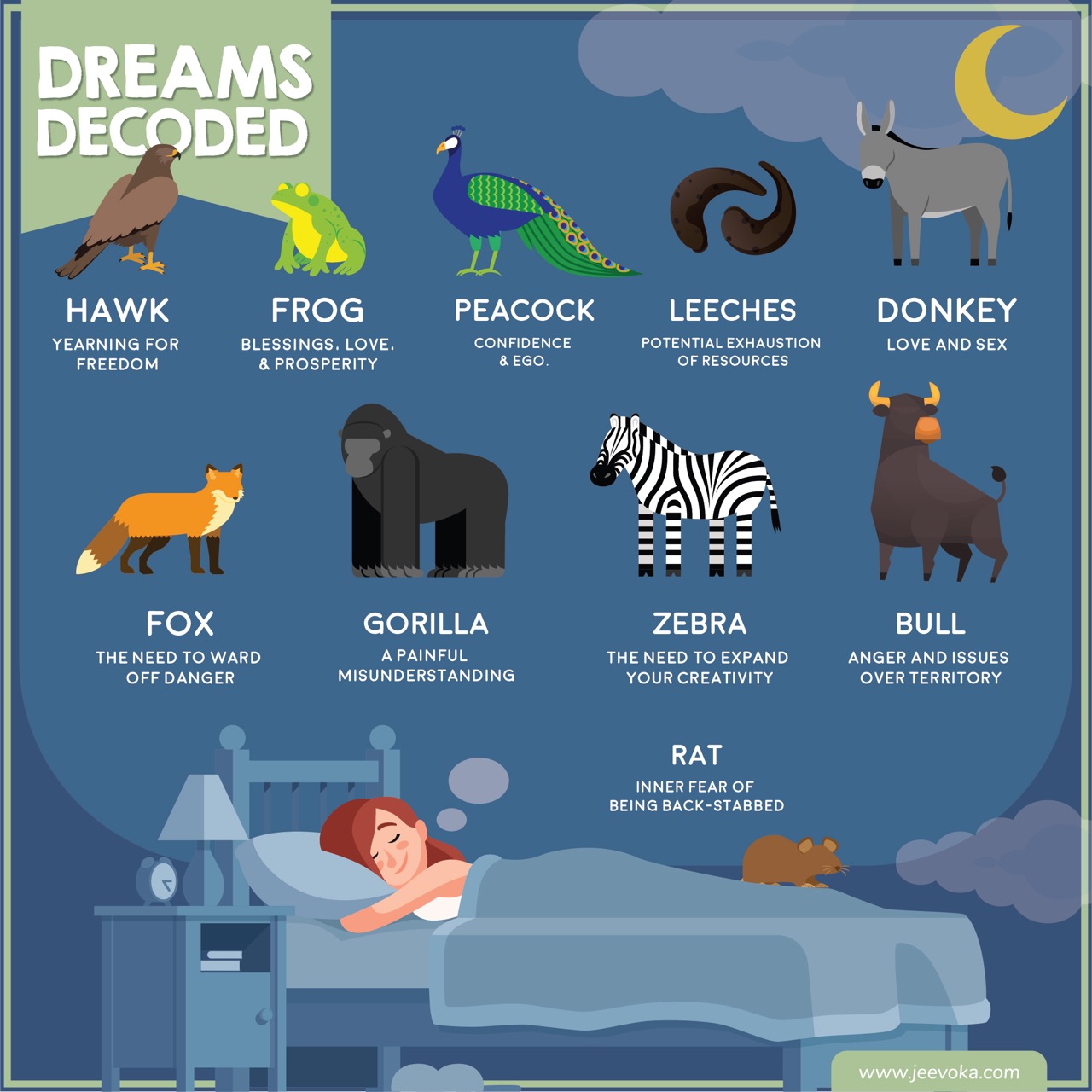 The spiritual meaning of wild animals in dreams: What does it really imply?