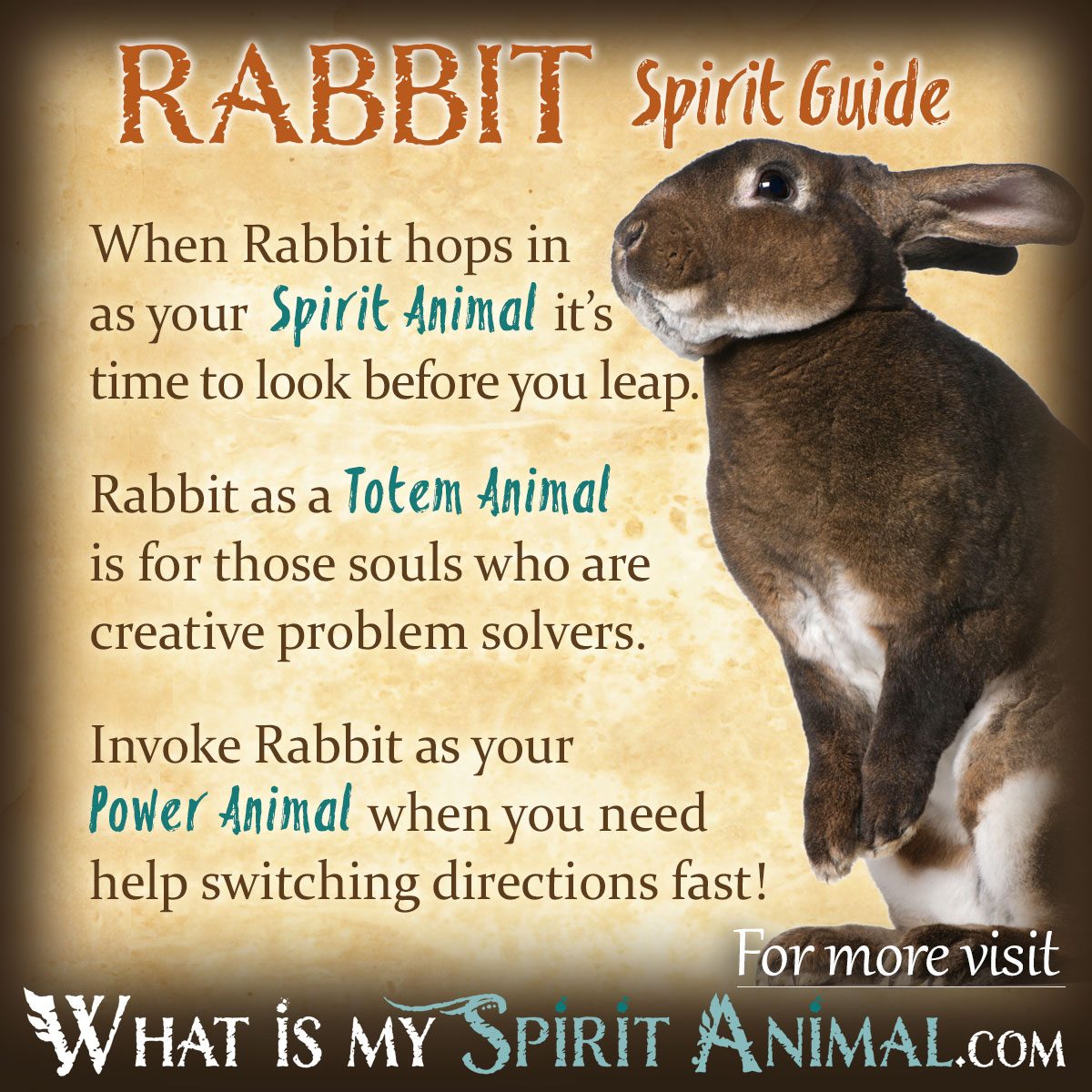 Red rabbit spiritual meaning： Discover its significance in cultures!
