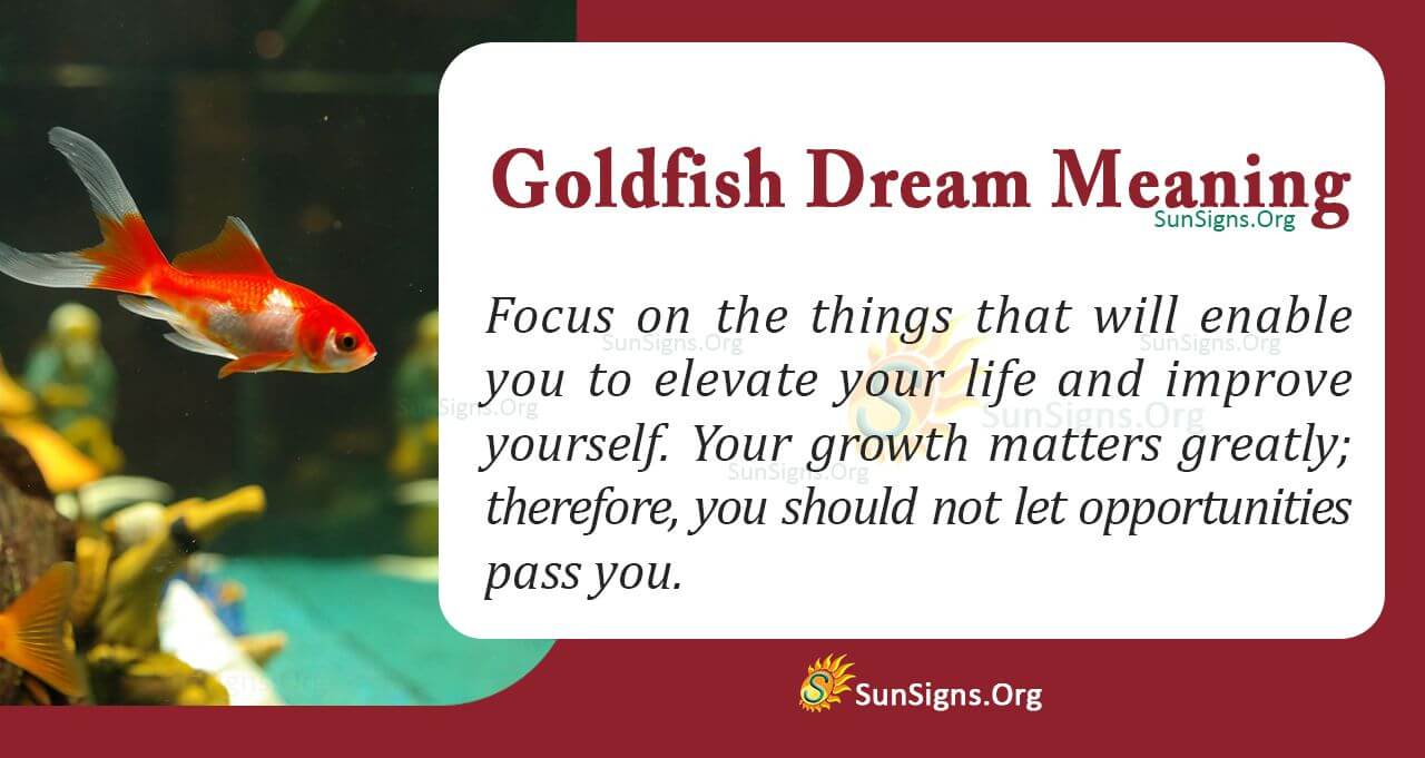 dream interpretation goldfish