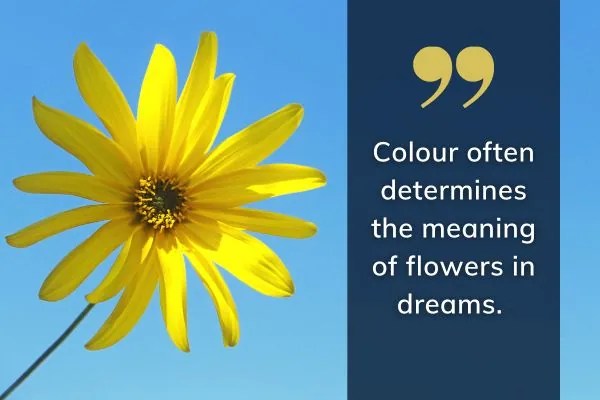The spiritual meaning of flowers in a dream： How it affects your life？