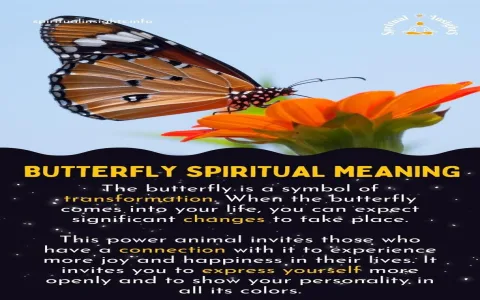 What is the spiritual meaning of a caterpillar on you？ Discover its powerful message!