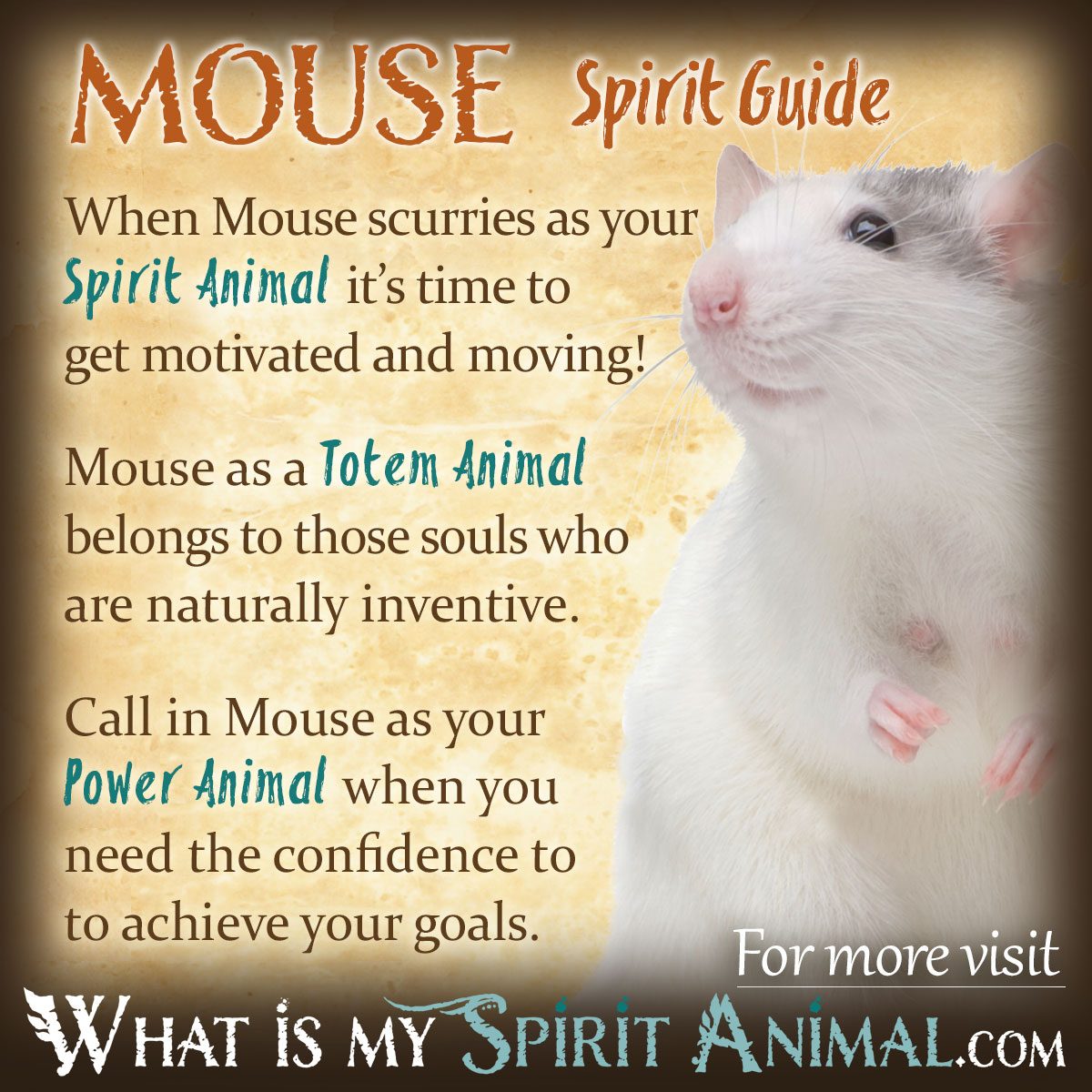 Why see a mouse？ Uncover the spiritual meaning behind it!