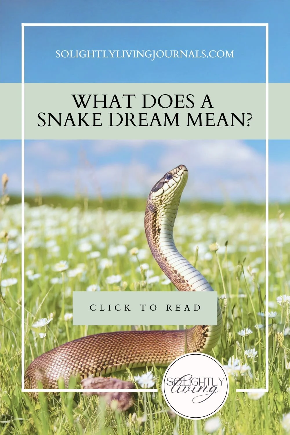 Dream interpretation snake： How to analyze your snake - related dreams？
