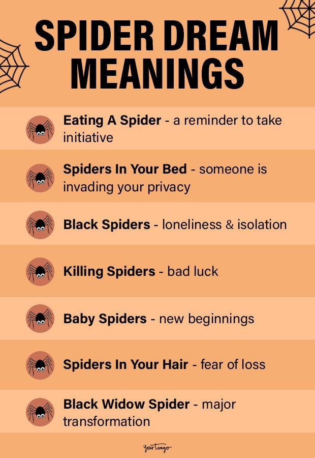 Dream interpretation big spider - Is it a good or bad omen？ Lets analyze