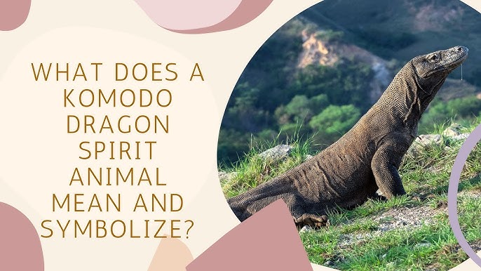 Whats the significance of komodo dragon spiritual meaning? Experts explain!