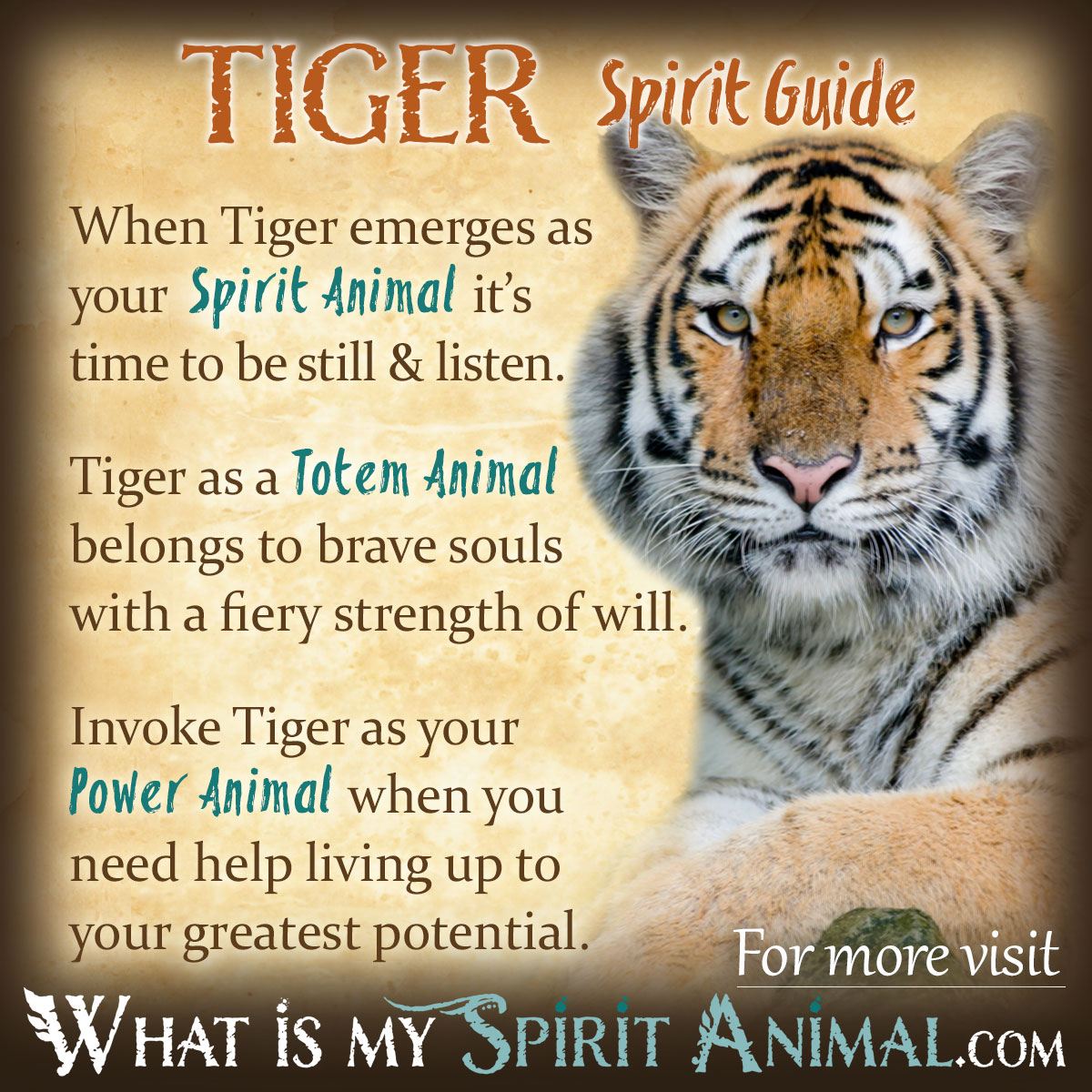 What is the spiritual meaning of tigers？ Uncover the secrets here!