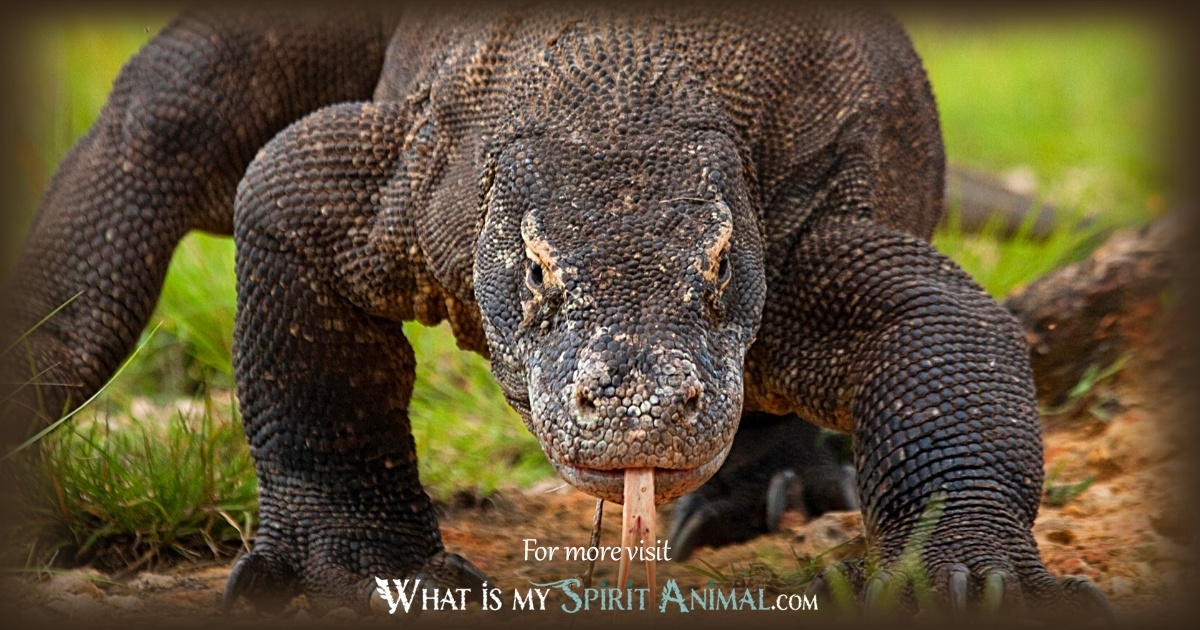 Whats the significance of komodo dragon spiritual meaning? Experts explain!