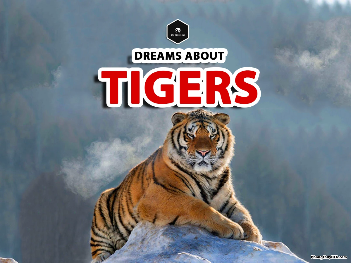 Dreaming of a tiger: 3 ways to understand the hidden message of tiger dreams