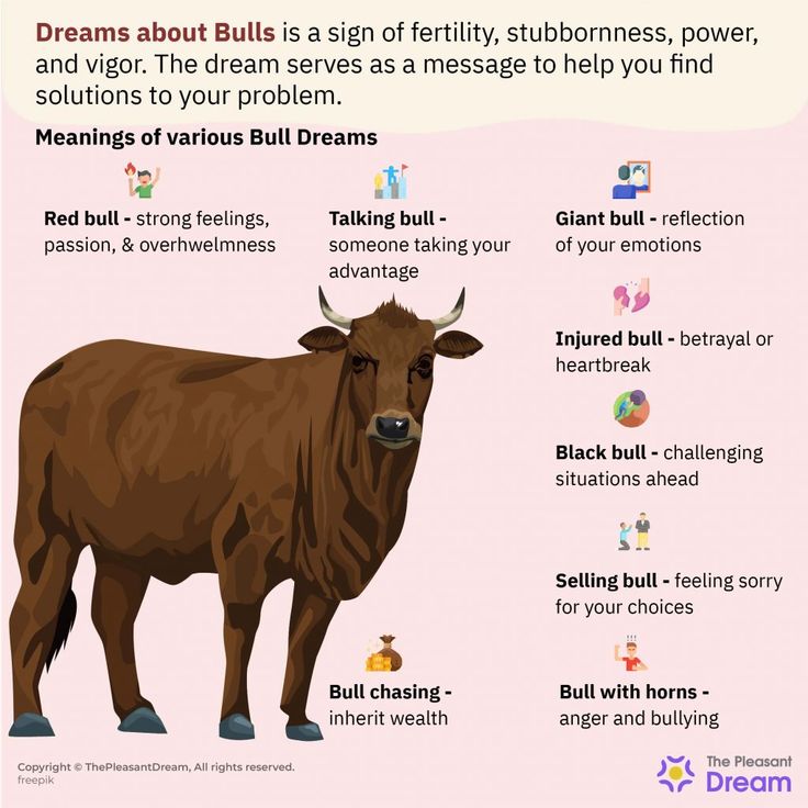 How to interpret your dream about bull attacking you？ Find out the real meaning now!