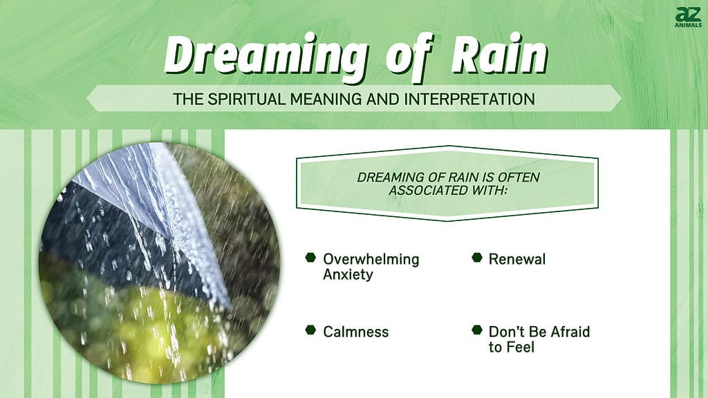 Dream interpretation rain： What heavy downpours symbolize？ Get clarity on your deepest fears now!