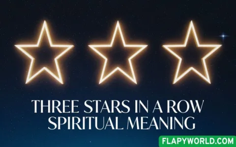 Want to know the stars meaning spiritual signs? Find out how to read their powerful energy!