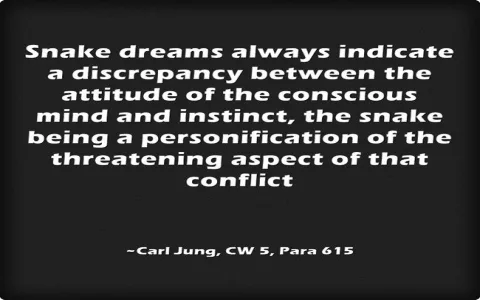 Snake interpretation dream: Are there scientific explanations? Know the truth!