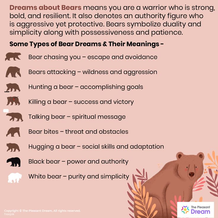 Dream interpretation bear： Tips for analyzing dreams about bears